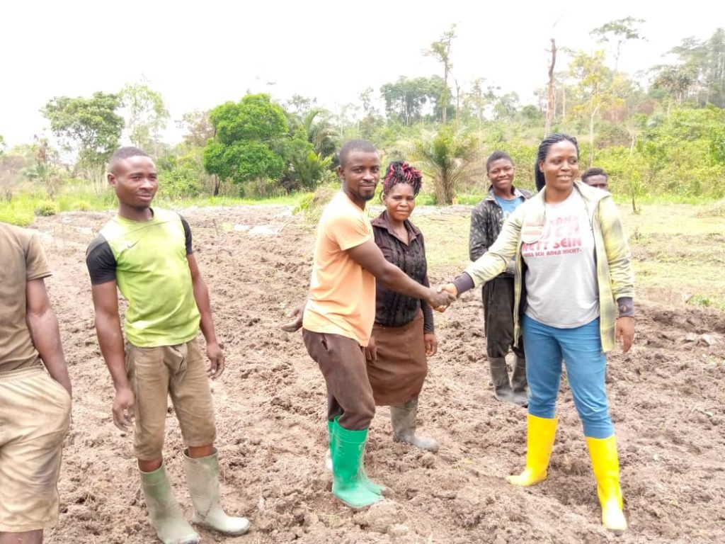 NGO recruits youths for mangrove planting in Ogoni