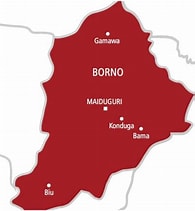 Burnt military vehicles and civilians fleeing after the Banki terrorist attack in Borno State.