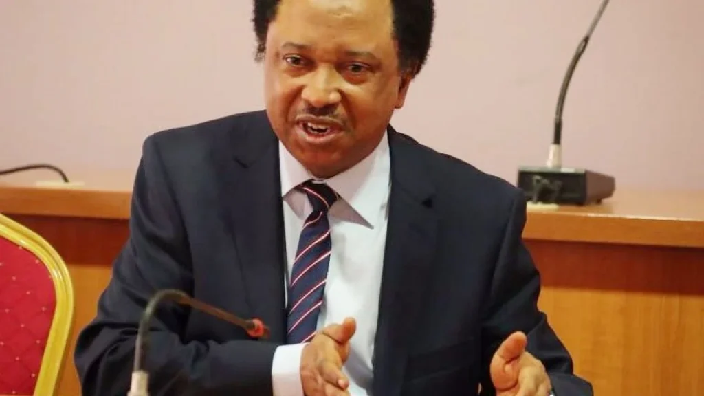Mass US Visa Revocations Nigerians 2025 – Shehu Sani’s Warning